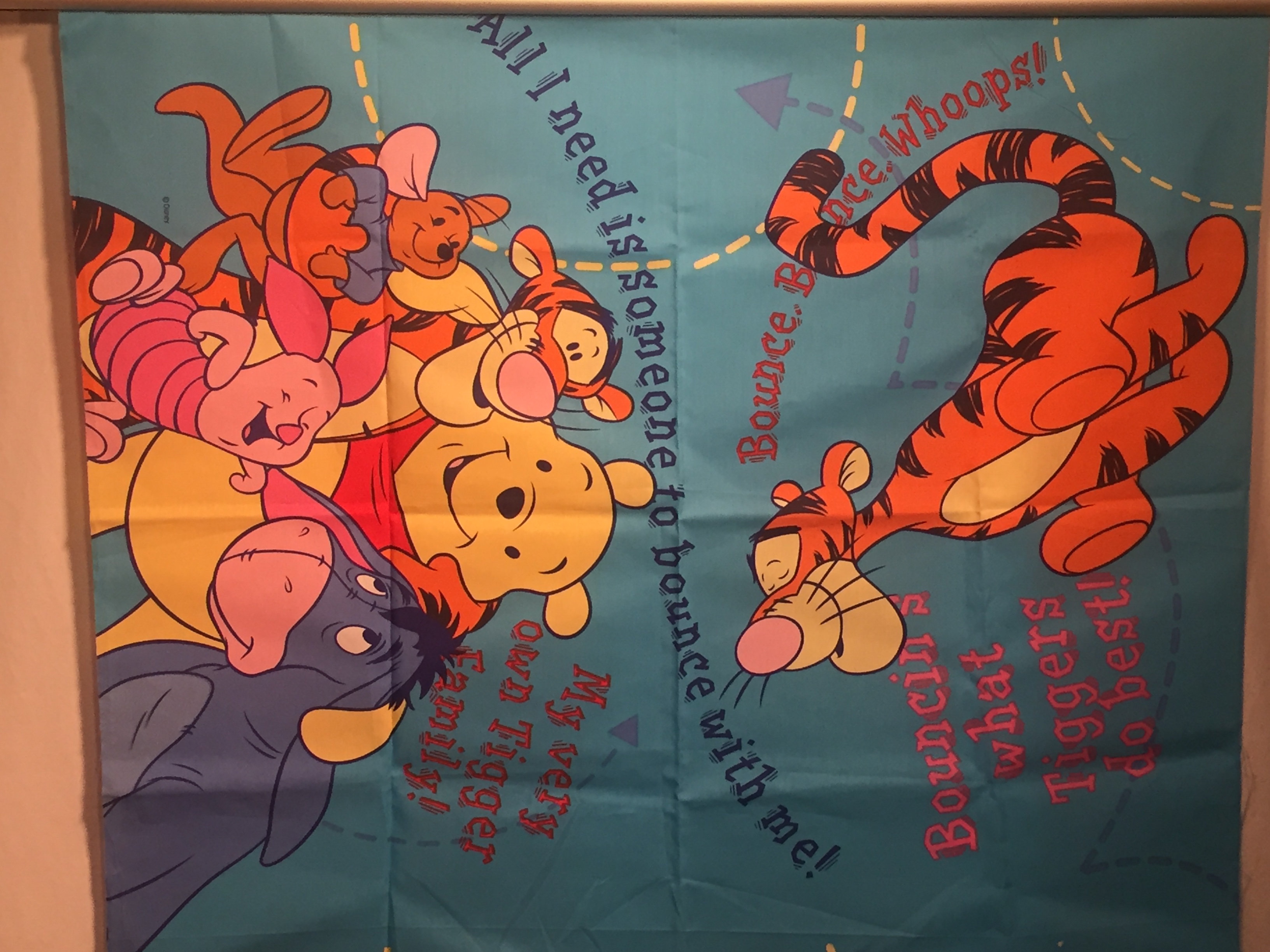 Tigger Panel Bouncy Tigger & Family