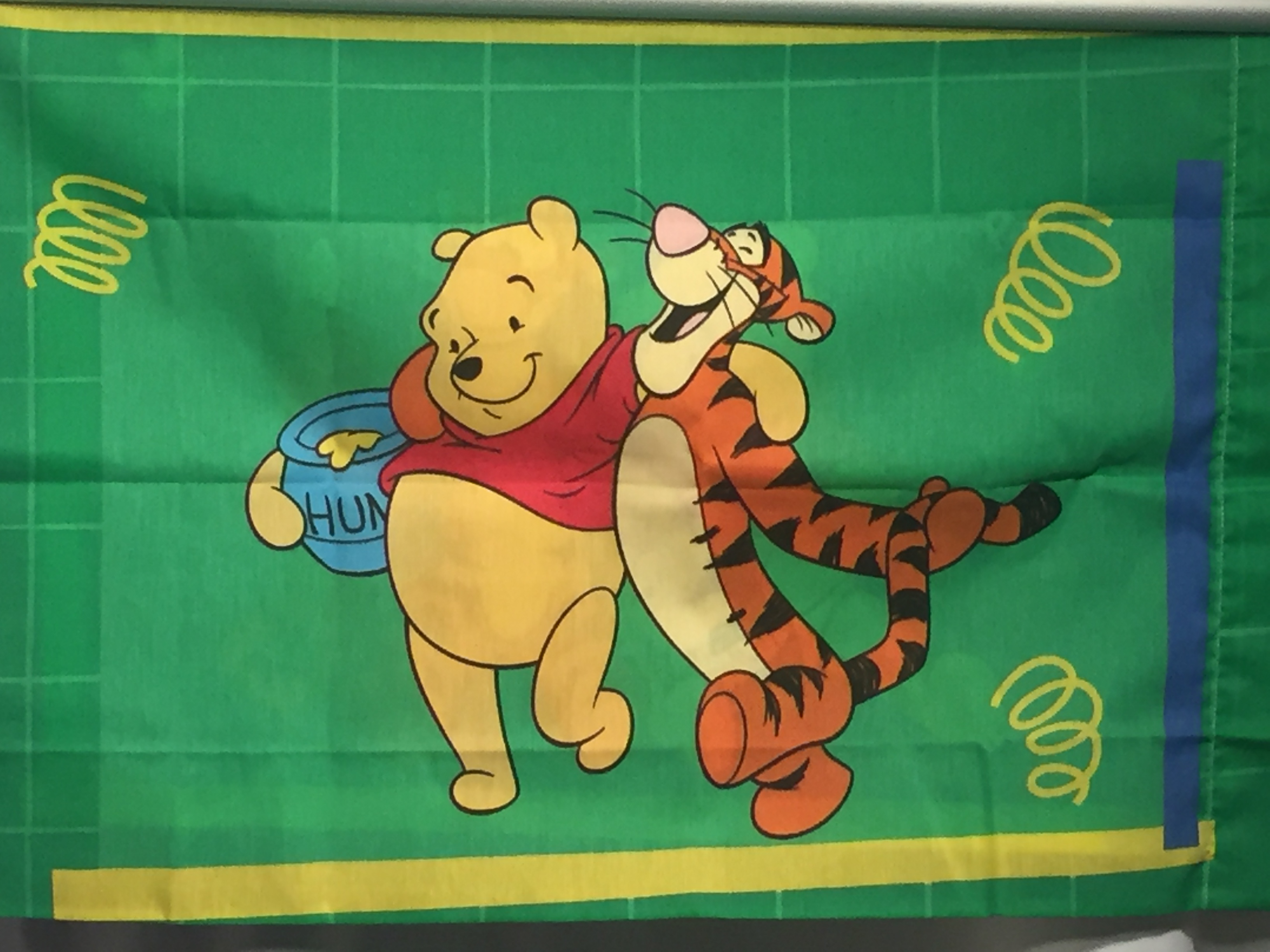 Tigger Panel Pooh & Tigger - green