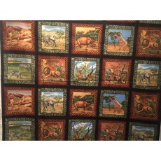Safari - squares